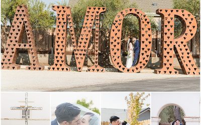 Intimate Hollister Backyard Wedding in Front of the Family Tree | Monelle + Joshua