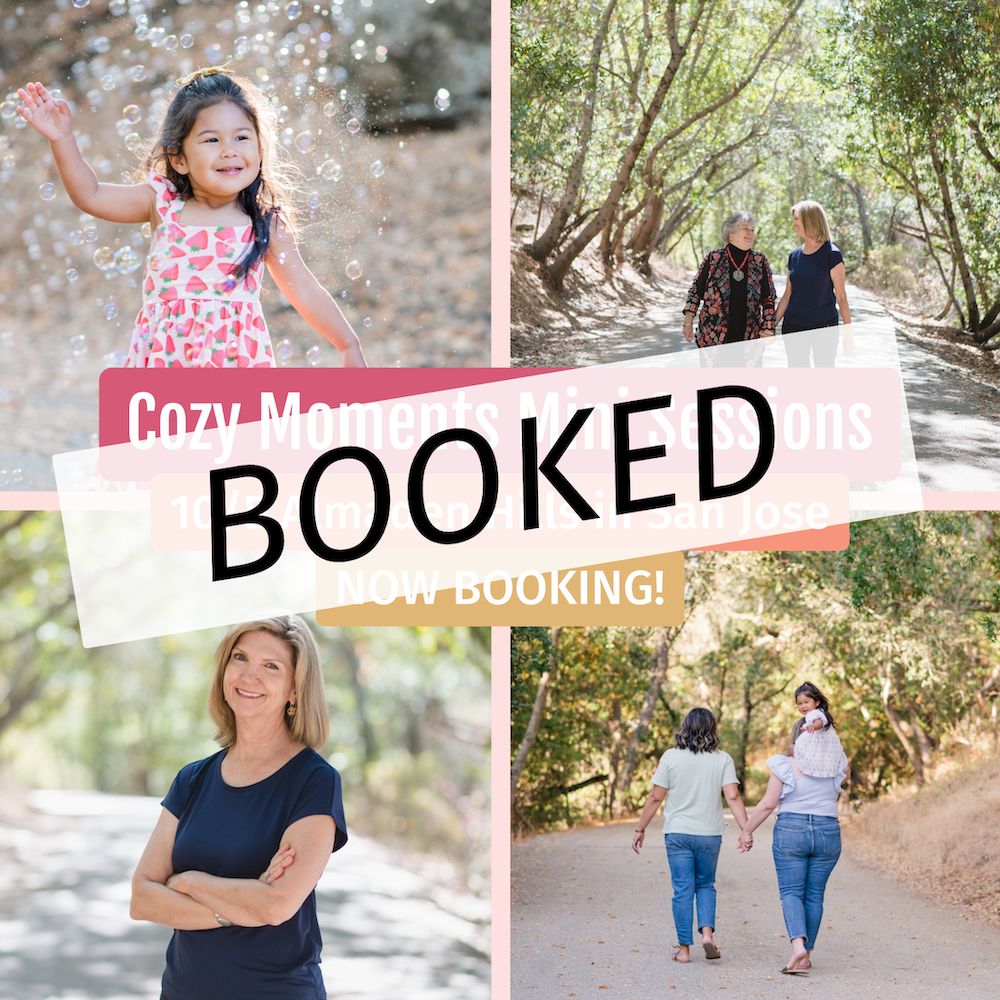 four images of families at Almaden Quicksilver Park 2024 mini sessions Almaden Hills by Jen Vazquez Media