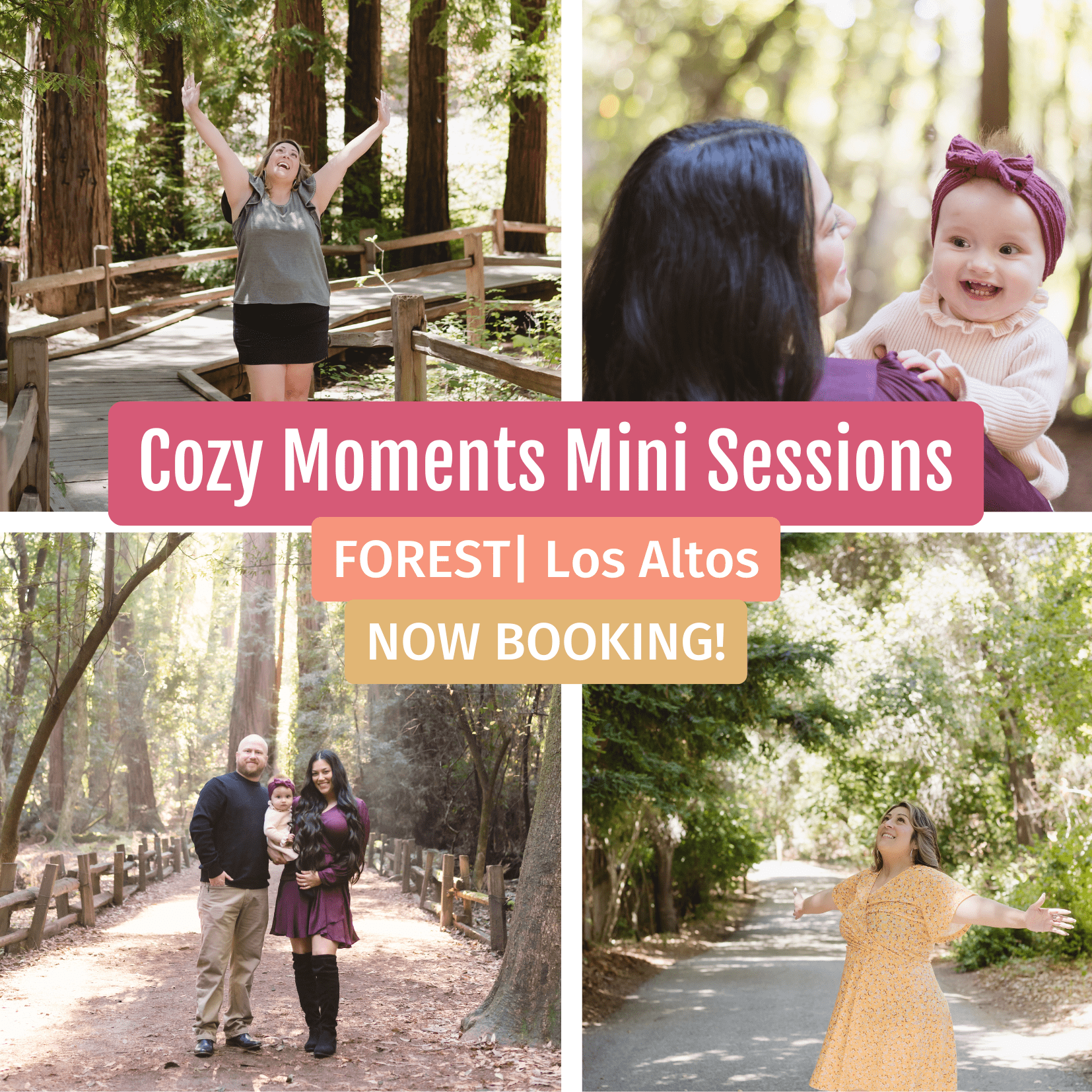 FOREST forest family photos mini sessions lost altos, california