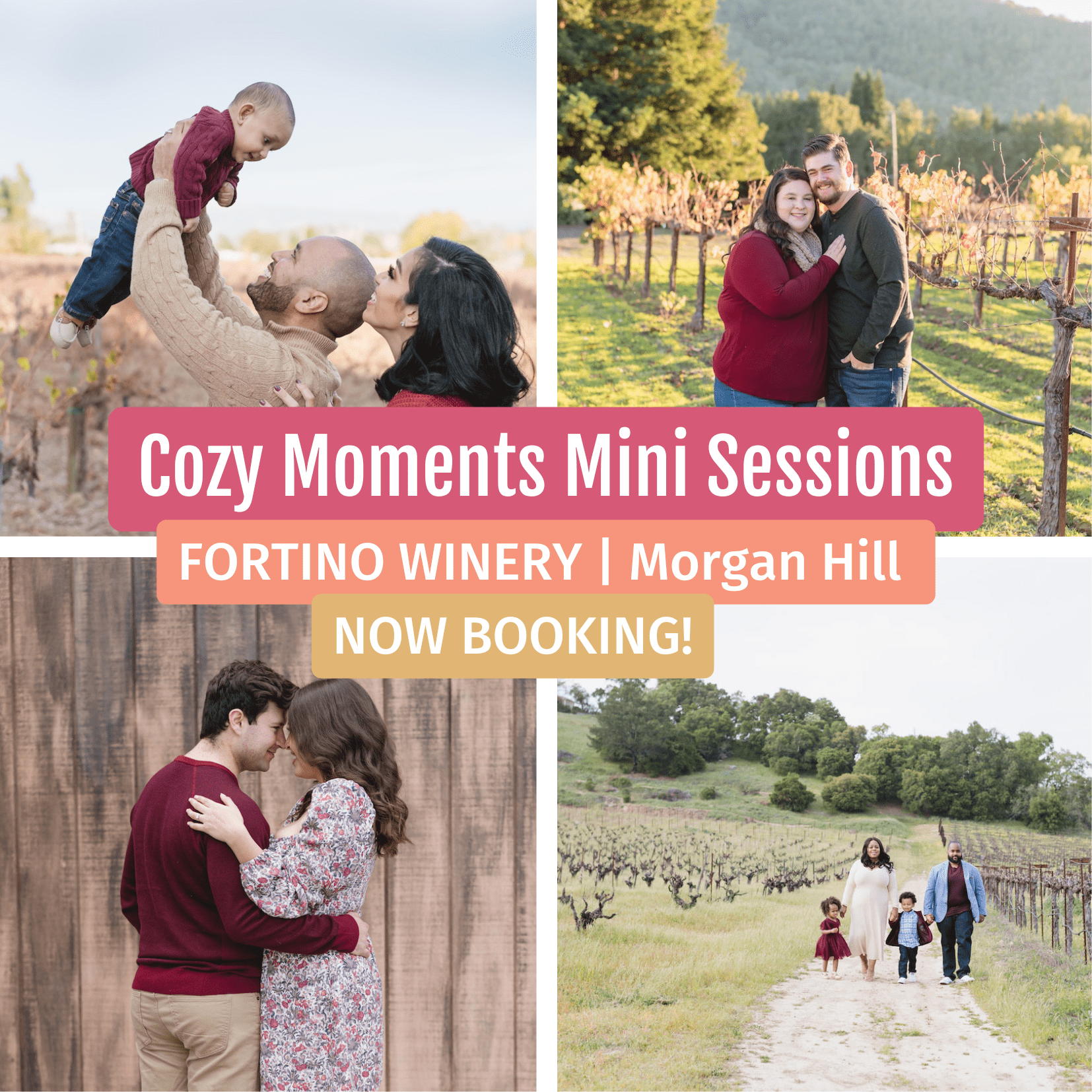 Fortino Winery Family Photo Mini Sessions Gilroy California family portraits
