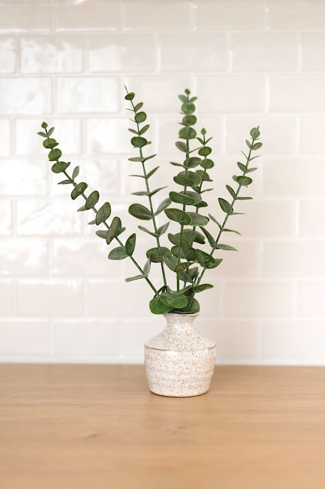 fern plant against white tile talking about Brand Photography at The Sunlight Space in the Bay Area, California